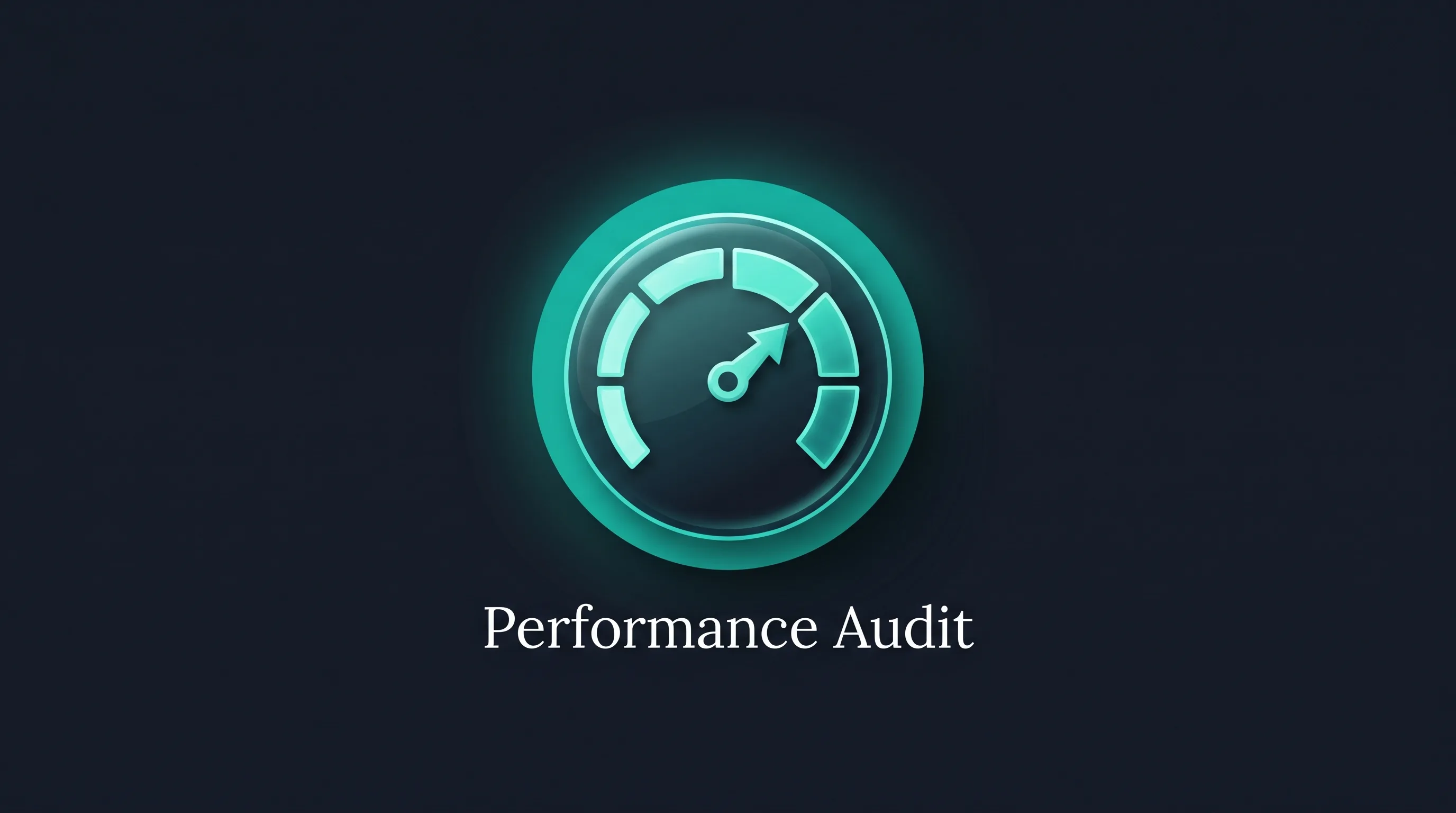 What You Receive After the Audit