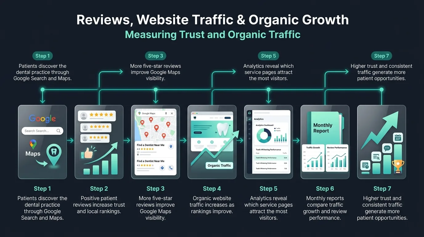 Monthly review counts and organic traffic correlation metrics